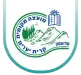 logo copy